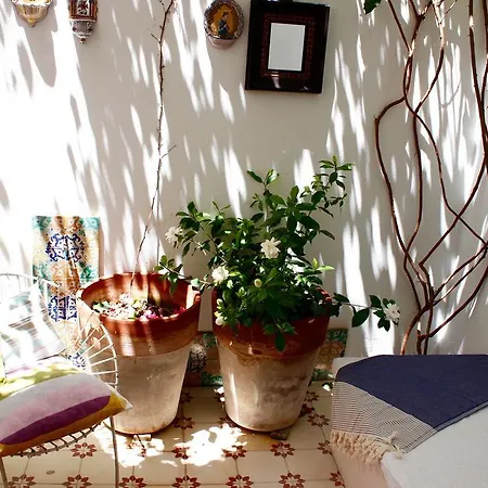 Casa Limon Sanlucar de Barrameda