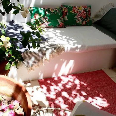 Гостевой дом Casa Limon
